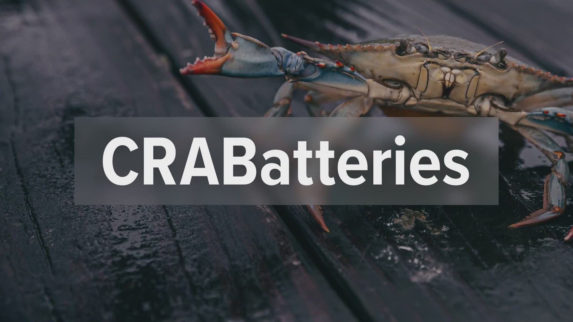 Imagine the battery in your phone being made from crab shells. A group of local engineers are using a biodegradable electrolyte found in the shell to make batteries.
