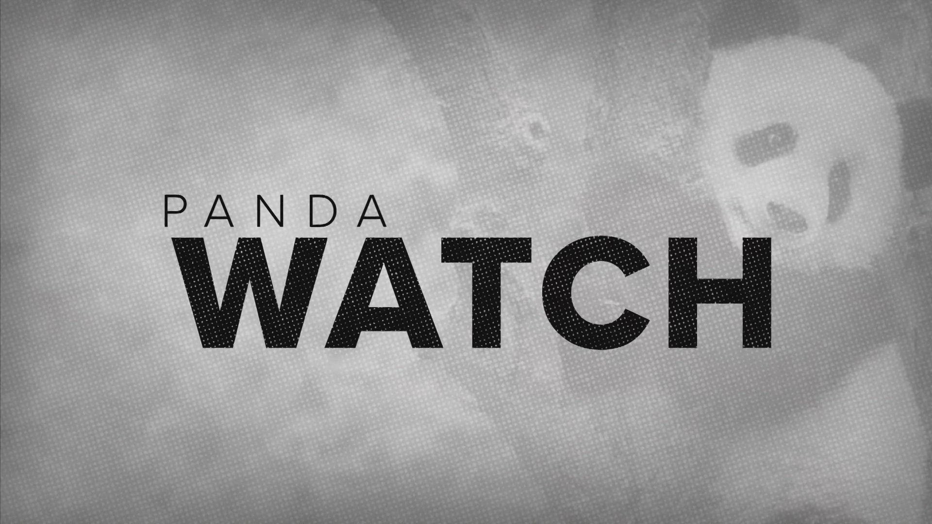 With China agreeing to send giant pandas to the San Diego Zoo, many are wondering if the animals could return to D.C.