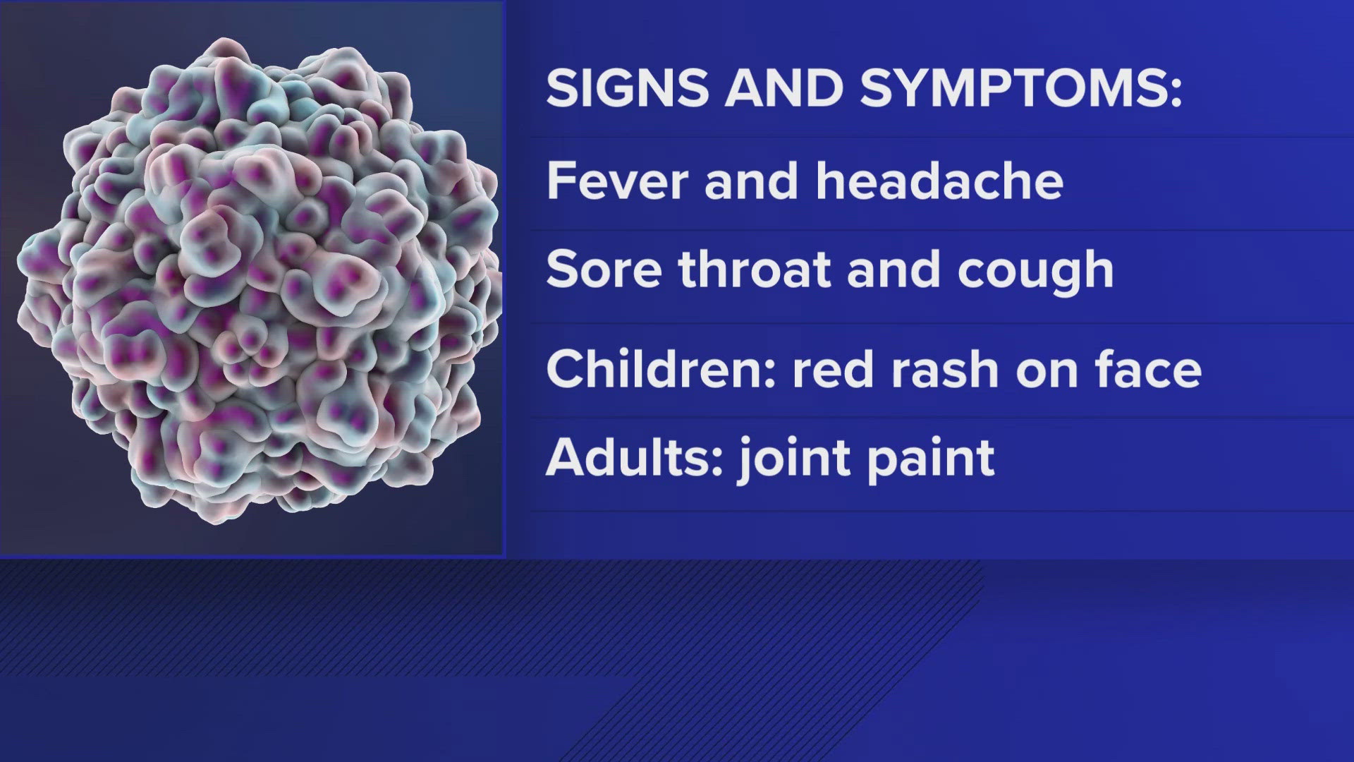 While many pet owners may be familiar with the parvovirus' deadly impact on dogs, the human virus works differently.