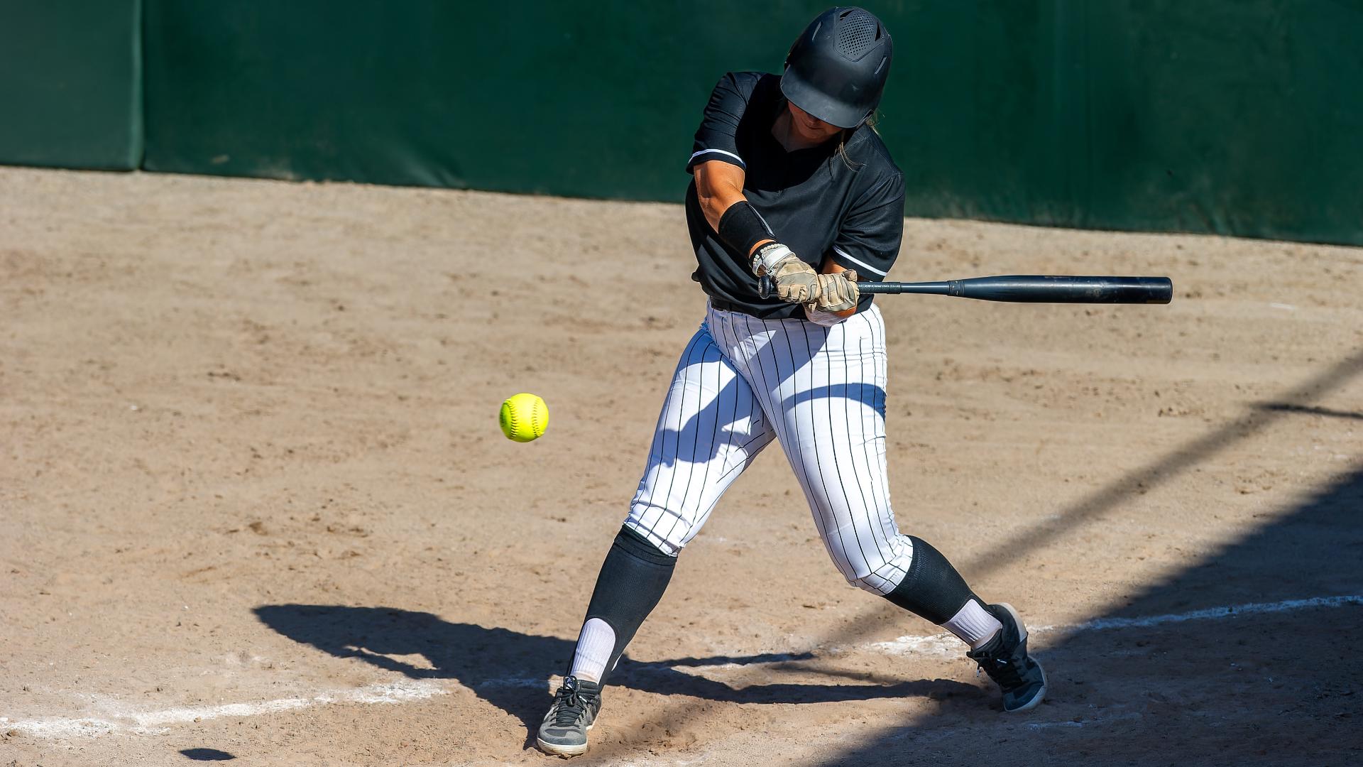 The cages will mainly be used by the Ankeny Girls Softball Association.