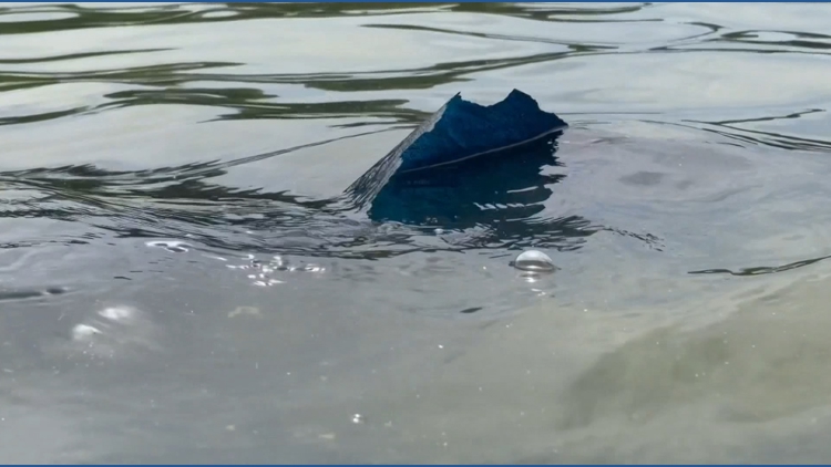 Concerns grow as blue coating peels off Reflecting Pool