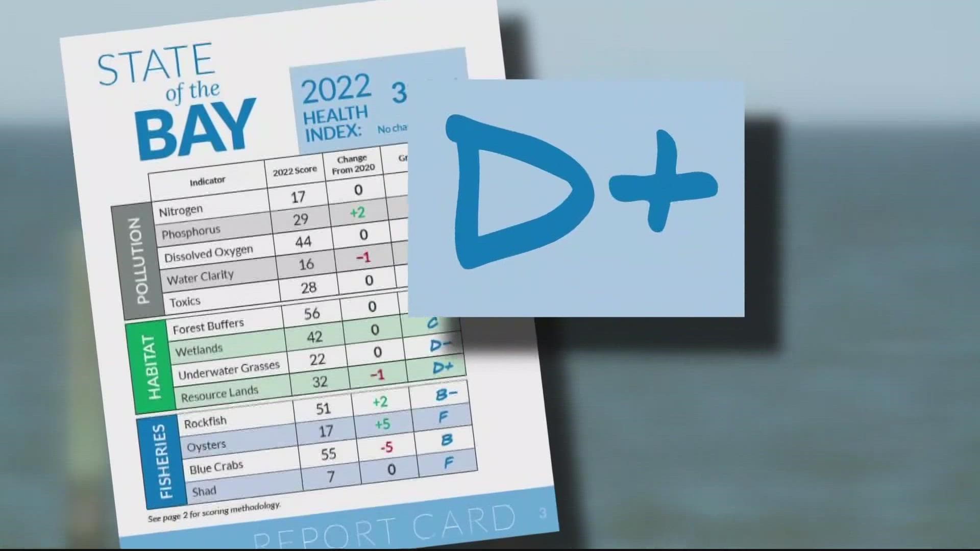 Chesapeake Bay earns D+ on latest report card | fox43.com