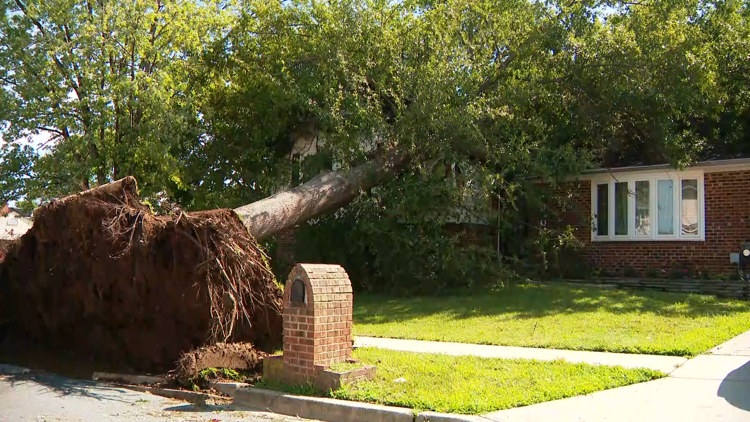 Maryland father holds up beam for 20 minutes to save trapped son after tree falls on house
