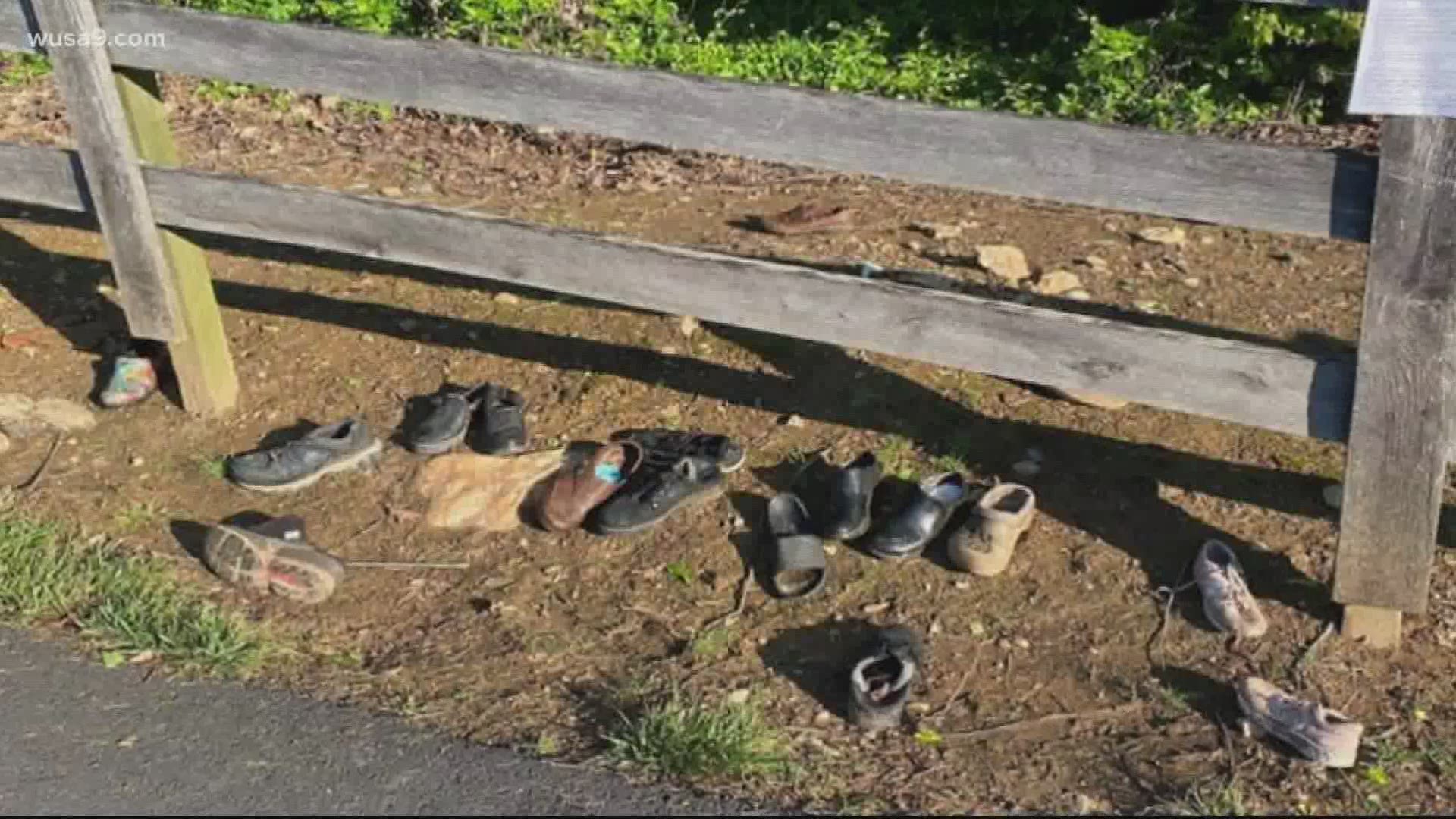Apparently, foxes using shoes as toys can be common. 12 shoes have been found at four fox holes recently, with only one complete pair among them.