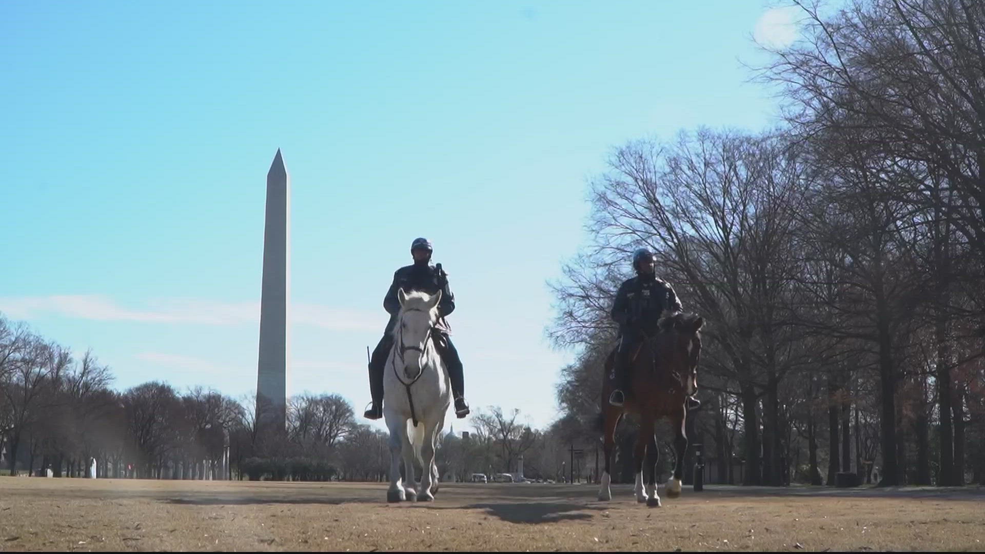 We got a look inside the new U.S. Park Police horse stables before they open to the public.