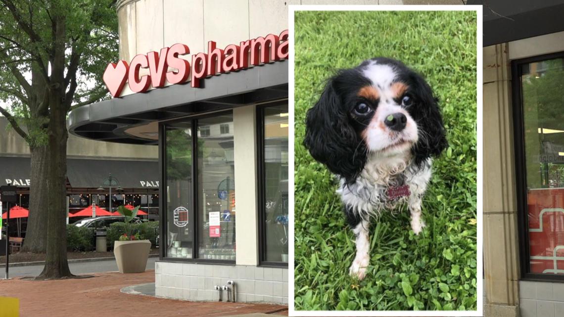 Dog owner plans to sue CVS over prescription mix-up - Vimarsana News