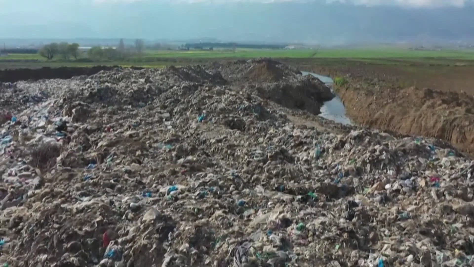 Are you heading to the landfill with your Christmas tree? We're here to explain how that could actually be worse for the environment.