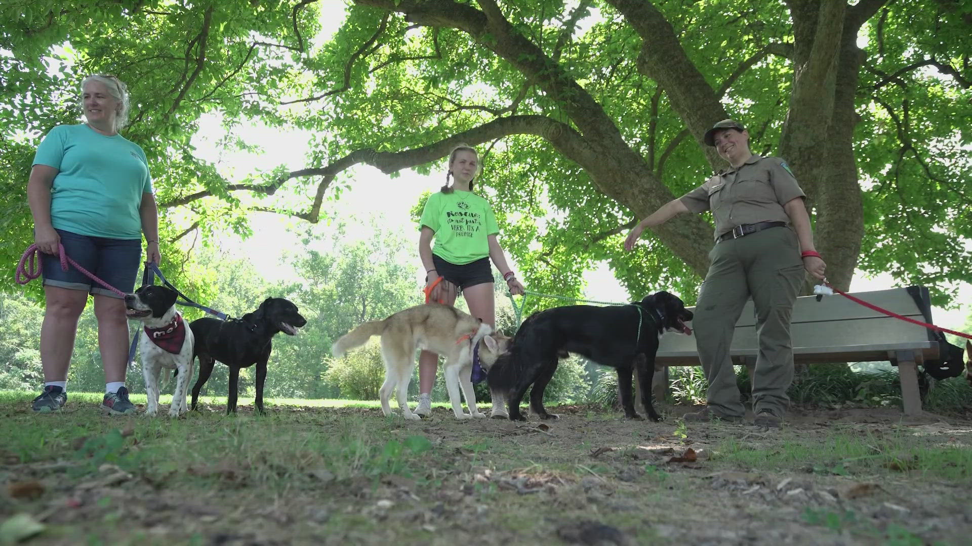 Lucia Craven didn’t know what to expect when a colleague told her about an “aggressive” dog under a car at Caledon State Park in King George, Virginia.