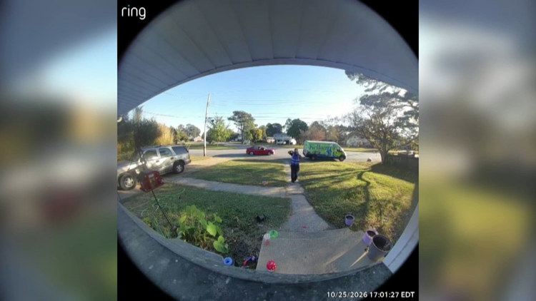 Viral video shows delivery driver throwing package at cat, prompting investigation