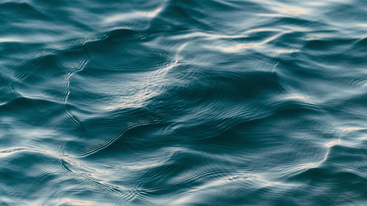 Kitty Hawk man dies after falling off paddleboard in ocean