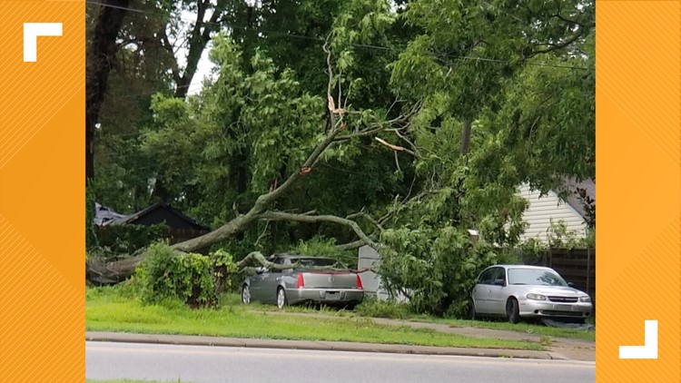 Isaias damage in Hampton Roads, northeastern North