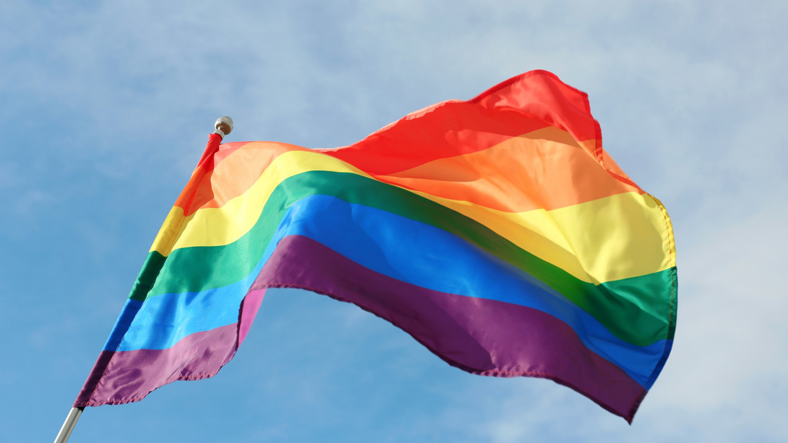 Foster parent lawsuit filed by LGBTQ families - Vimarsana News