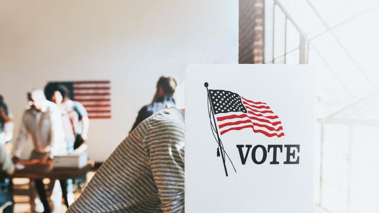 2022 elections recap: Here's who won, lost in Hampton Roads races