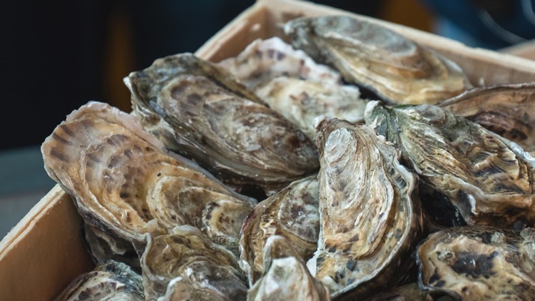 Chesapeake Sheriff's Oyster & South Festival returns to Greenbrier area