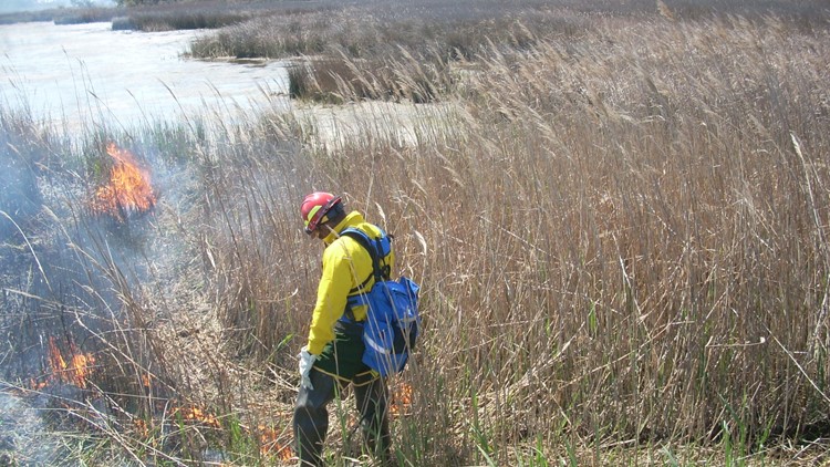 Back Bay National Wildlife Refuge undergoes controlled burn