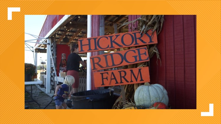 Get apple cider donuts, visit coffee truck at Hickory Ridge Farm in Chesapeake