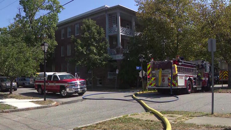 Cat rescued from burning Norfolk apartment