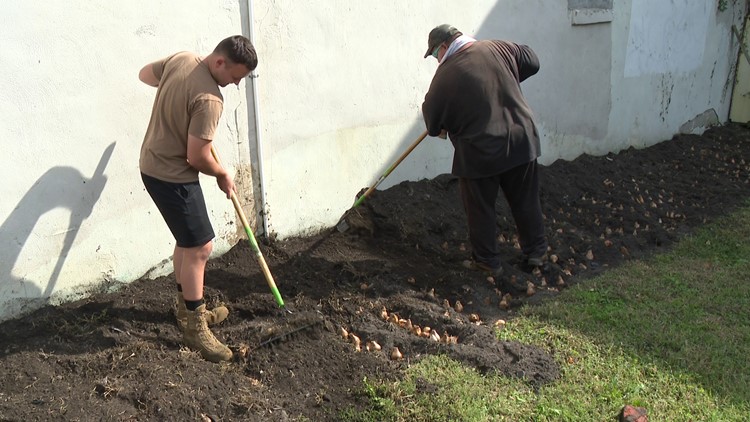 Daffodil planting in Portsmouth to honor the children who died in the Holocaust