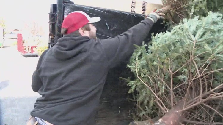 Beach business again steps up to help recycle Christmas trees