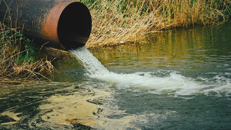 Sewage spilled into Knitting Mill Creek in Norfolk, officials say