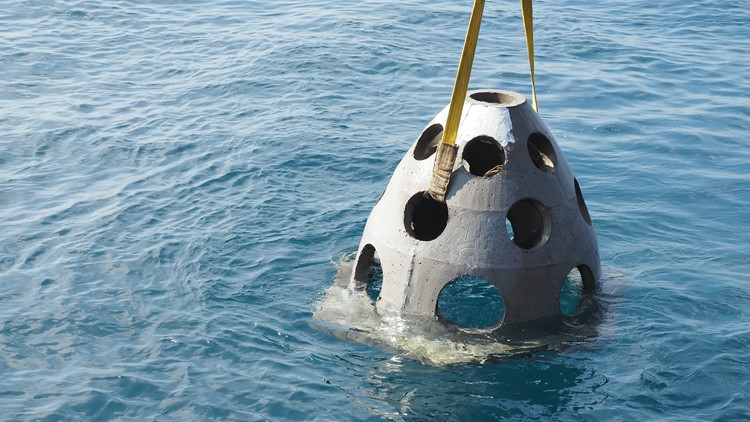 VSSA looks for anglers to drop artificial reefs for pilot program