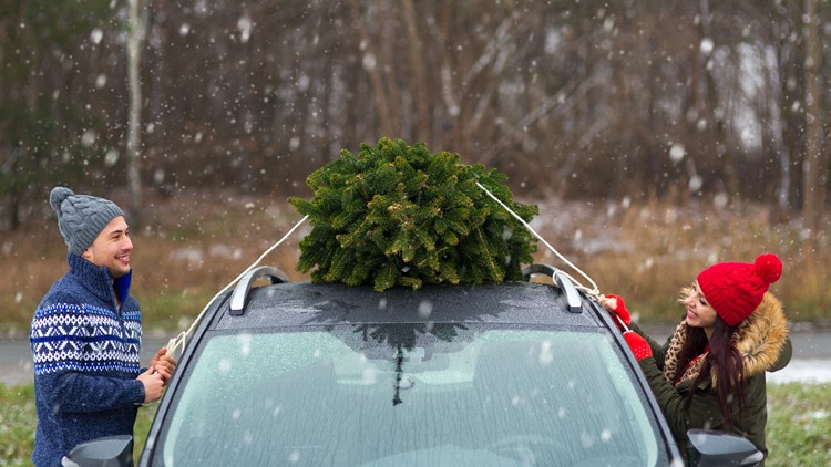 Need to get rid of your Christmas tree? Here are some options across Hampton Roads.