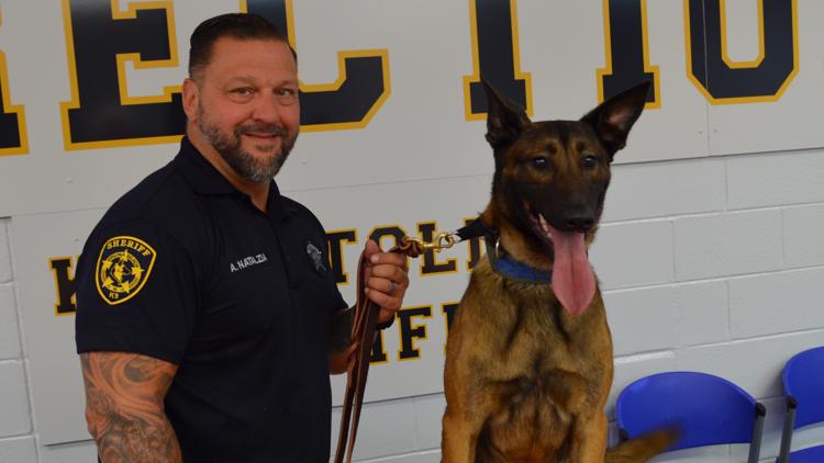 Meet the Virginia Beach Sheriff’s Office's new K9: Pablo