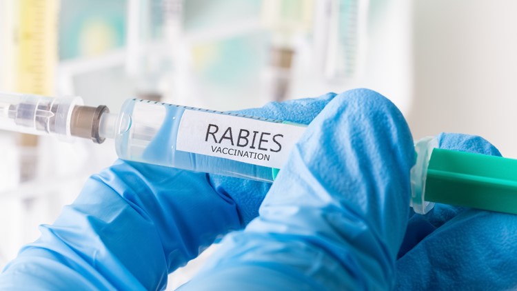 2 rabid animals prompt health advisory in York and James City counties