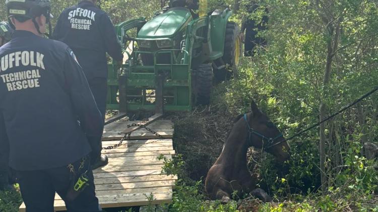 Suffolk first responders rescue horse trapped in ditch