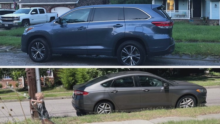 Thieves got away with two cars within less than one hour, Norfolk family says