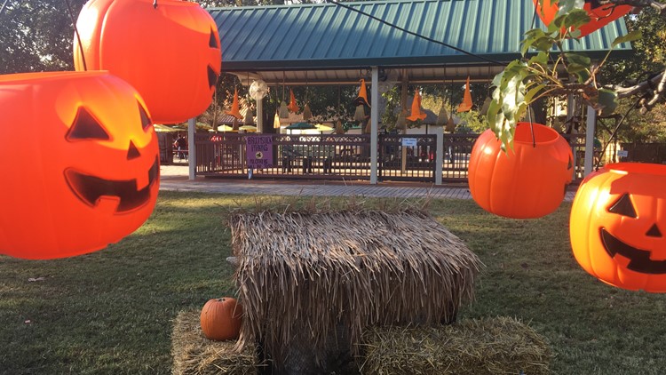 Virginia Zoo to host Halloween Zoo Boo; Beastly Ball canceled