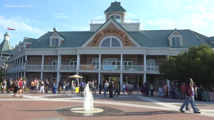 Virginia Zoo guests 'experienced the unexpected' Friday when giraffe gave birth to calf