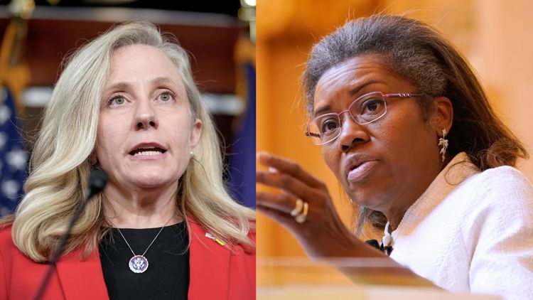 Virginia Democrats reap fundraising gains as they center campaigns around Elon Musk