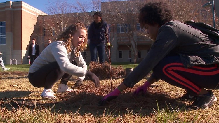 ODU nursing students plant trees to help prevent stormwater runoff in Virginia Beach