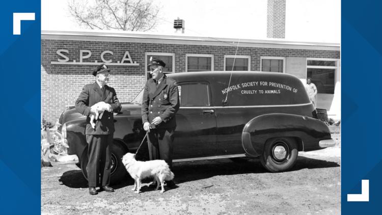 The Norfolk SPCA has been in business since before the radio was invented. They're about to celebrate 130 years.