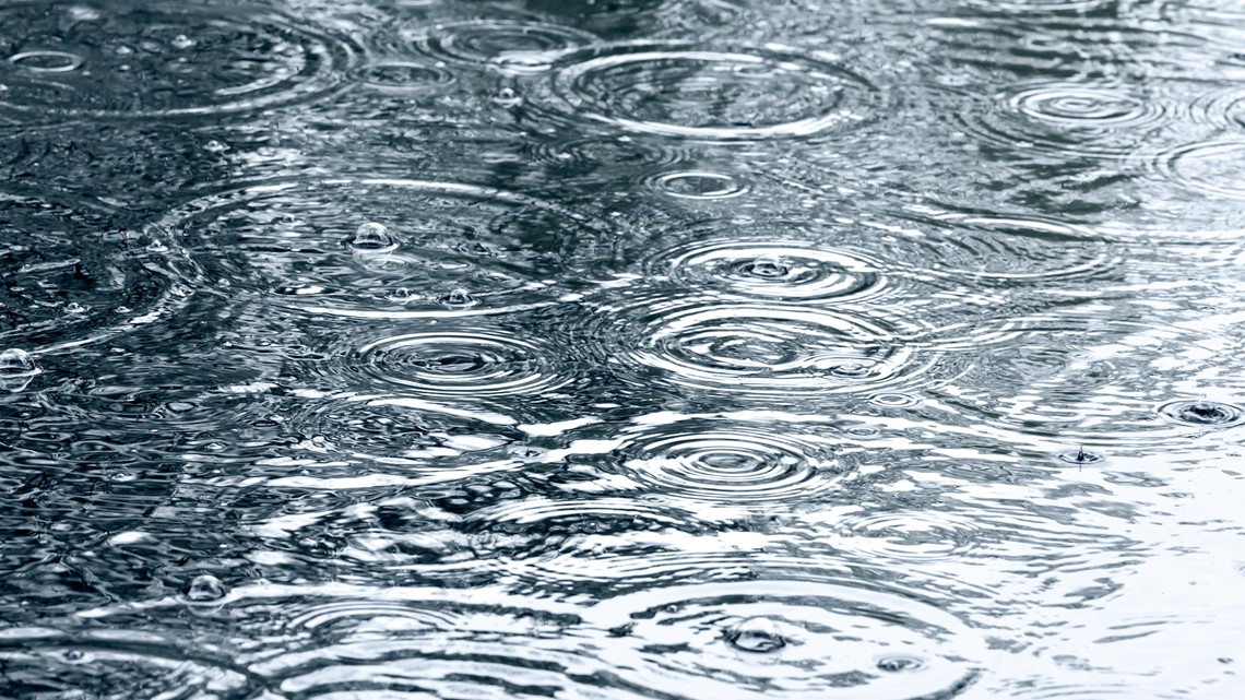 Central Iowa rainfall totals for November 4th and 5th - Vimarsana News