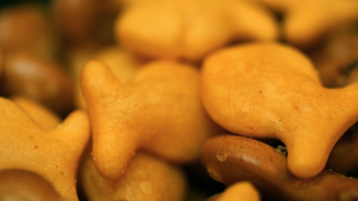 Buy OLD BAY Goldfish online during their limited run - Vimarsana News