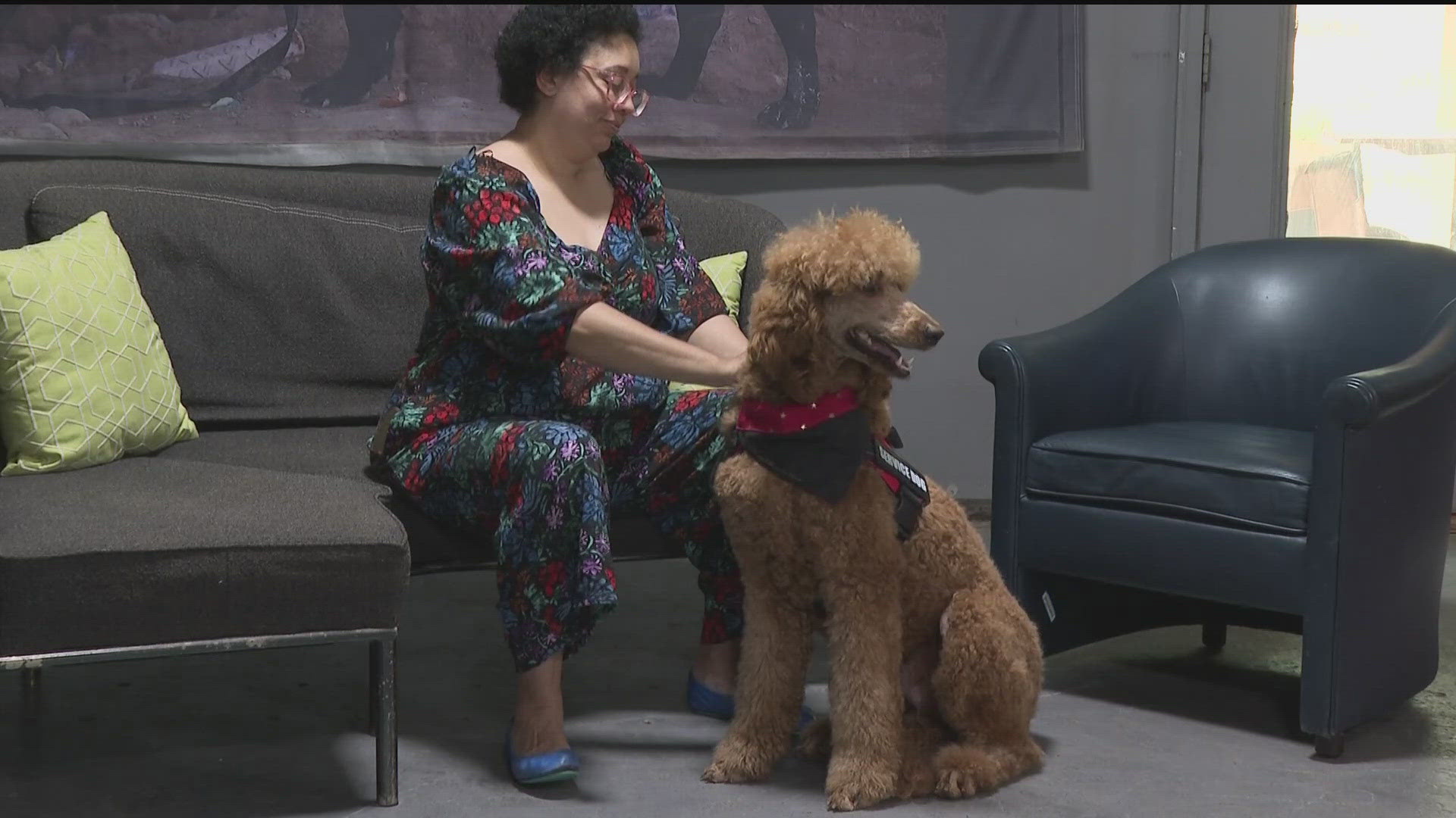Community bands together to get new service dog for Army veteran ...