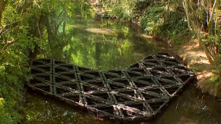 High hopes for floating wetlands trash trap in Chamblee to clean waterways, boost environment