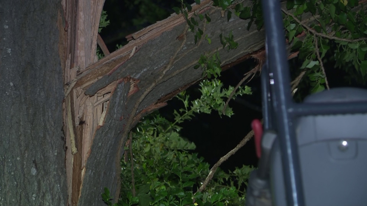 Tree falls on southwest Atlanta home, kills 10-year-old girl