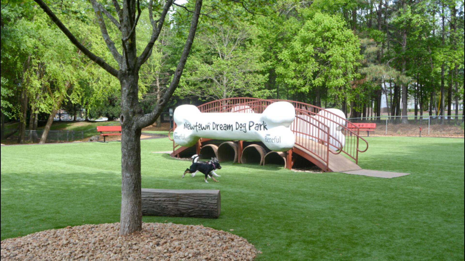 Newtown Park in Johns Creek | Best dog parks in US list | rocketcitynow.com
