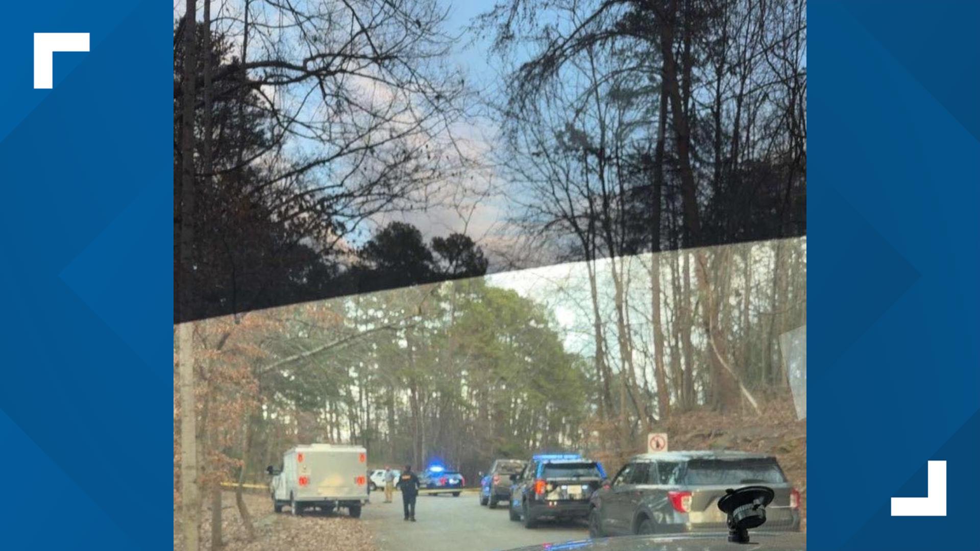 Dog fight at Georgia park turns deadly as one owner shoots, kills man ...