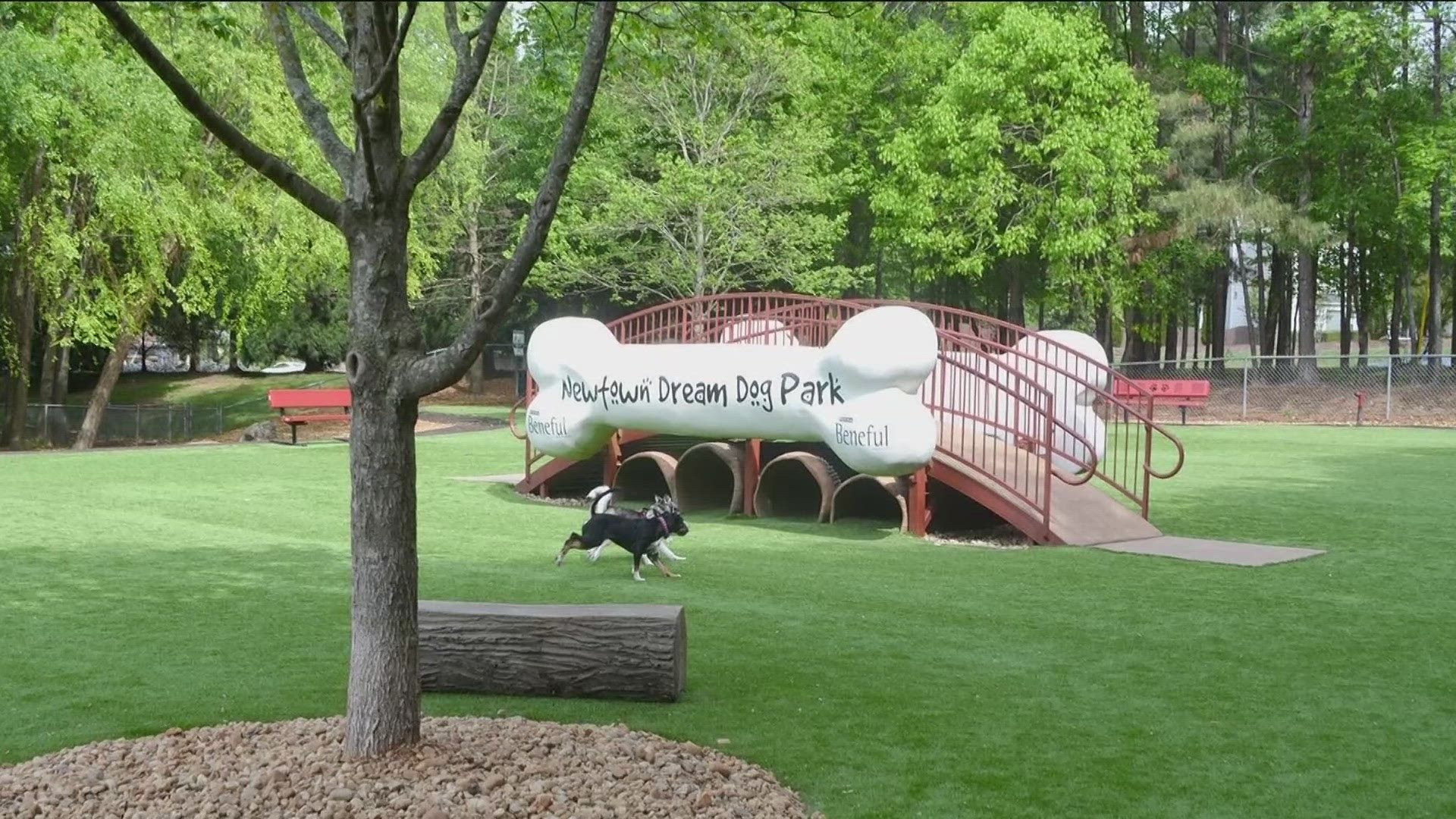 The park offers areas for small and big dogs.