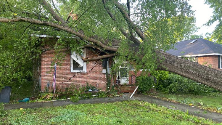 Tree crashes into Rome home during Thursday night storms: Photos
