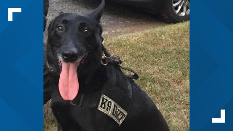 DeKalb County Police mourn loyal, resilient K-9