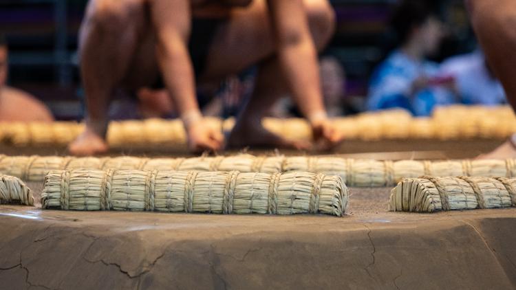 Six from Georgia announced as part of new Sumo Championship League