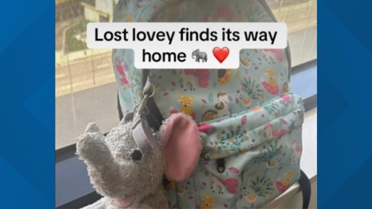A lost stuffed elephant finds its way home to the little girl who loves her