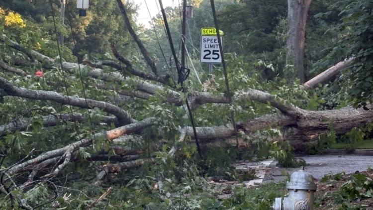 First day of school interrupted at DeKalb elementary school after tree falls and takes out power
