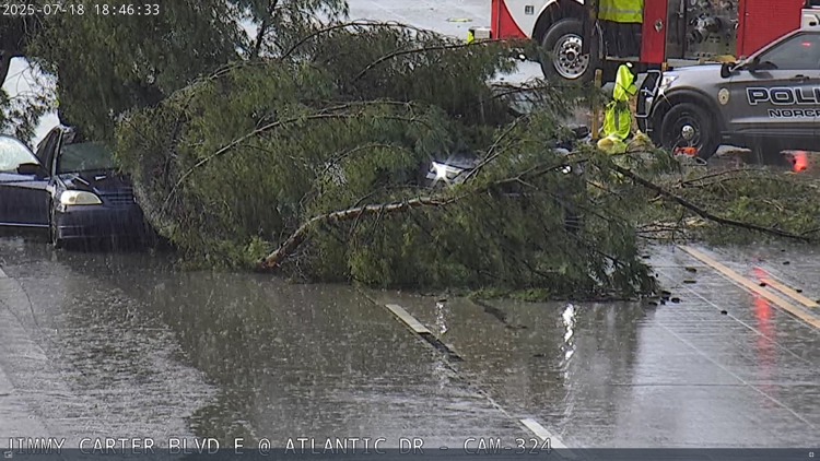 Tree falls onto car on Jimmy Carter Boulevard in Gwinnett County