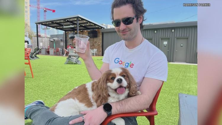 'Pile of fluff': Owner of dog killed by actor Tyrese Gibson's dogs in Buckhead upset, wants justice